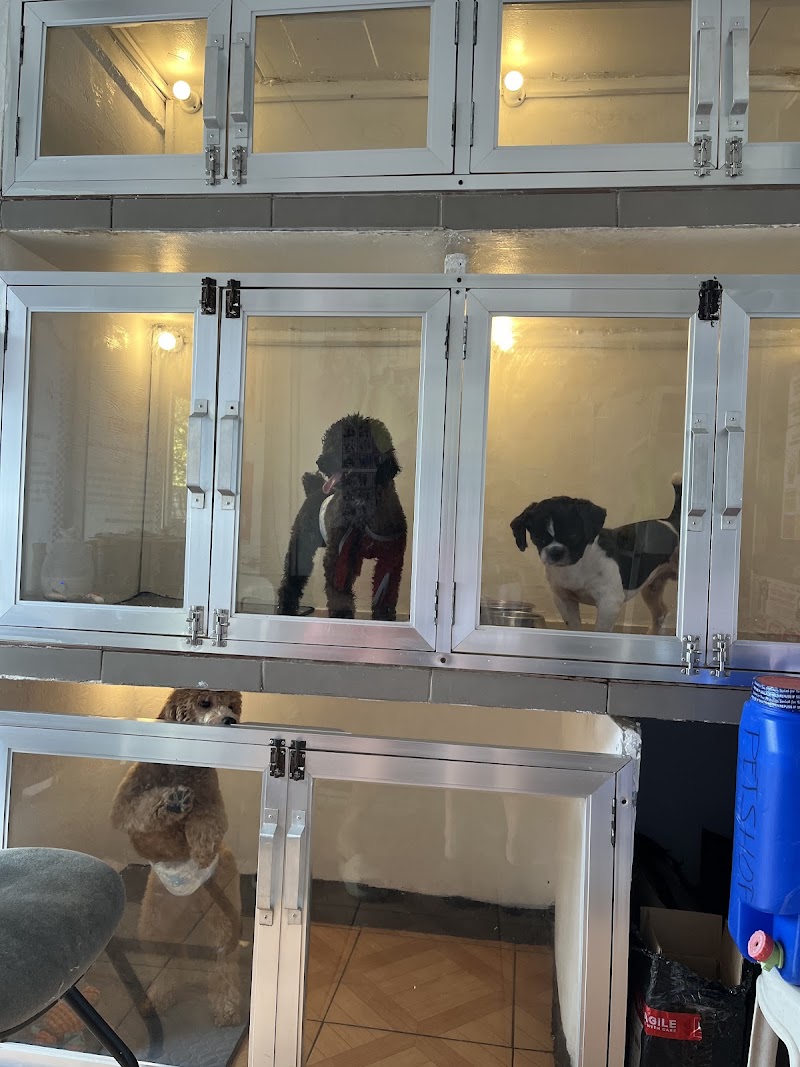 FurBNB (Main Branch) — photo