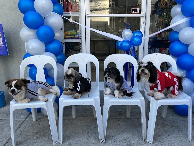 Furmont Pet Hotel — photo