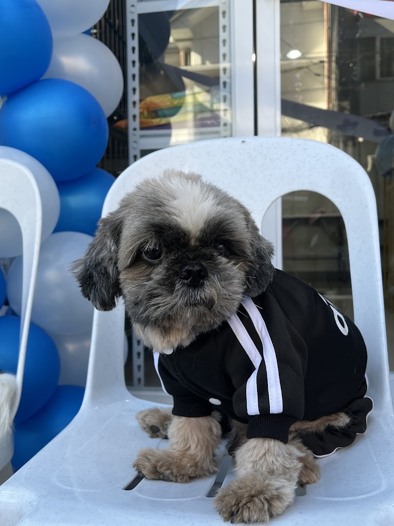Furmont Pet Hotel — photo