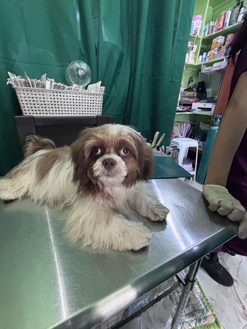 FURRPET VETERINARY CLINIC - ZARAGOZA — photo