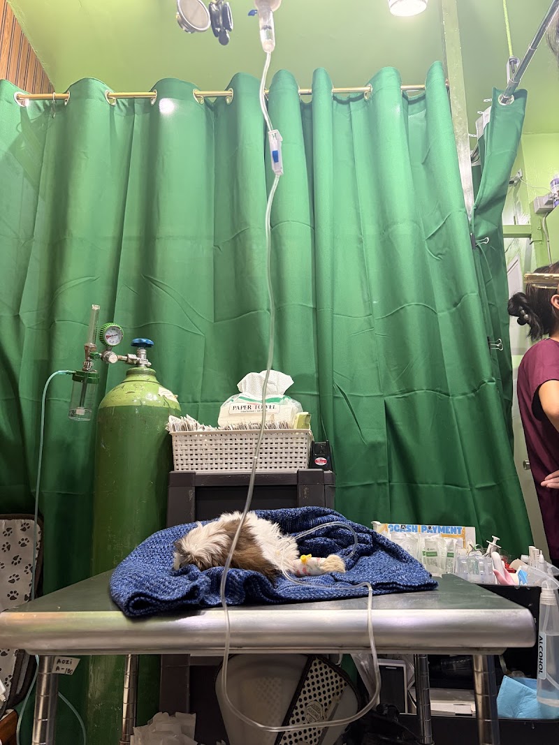 FURRPET VETERINARY CLINIC - ZARAGOZA — photo