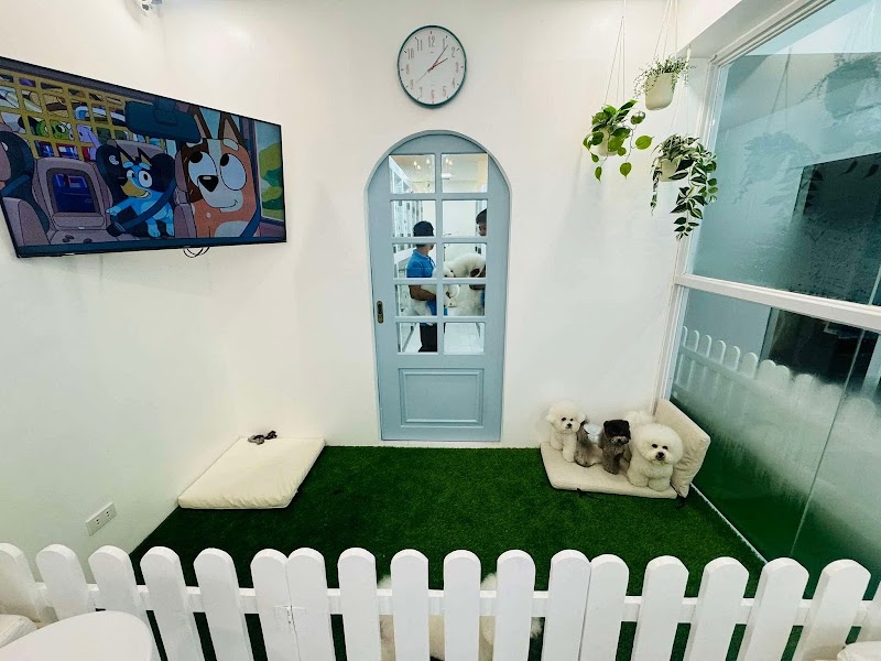 Groomingdale's Premium Pet Hotel and Cafe — photo