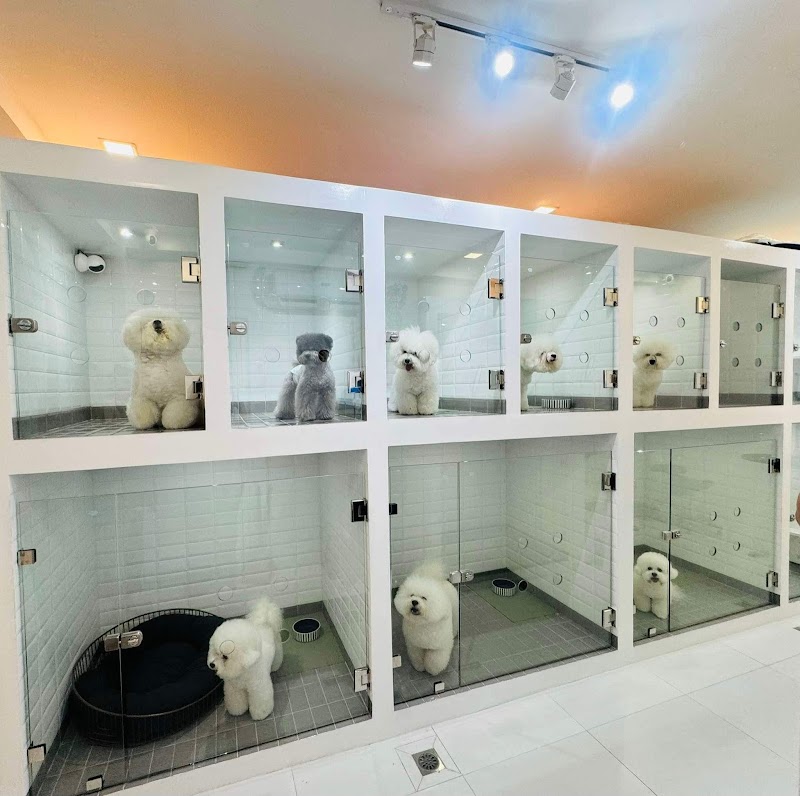 Groomingdale's Premium Pet Hotel and Cafe — photo