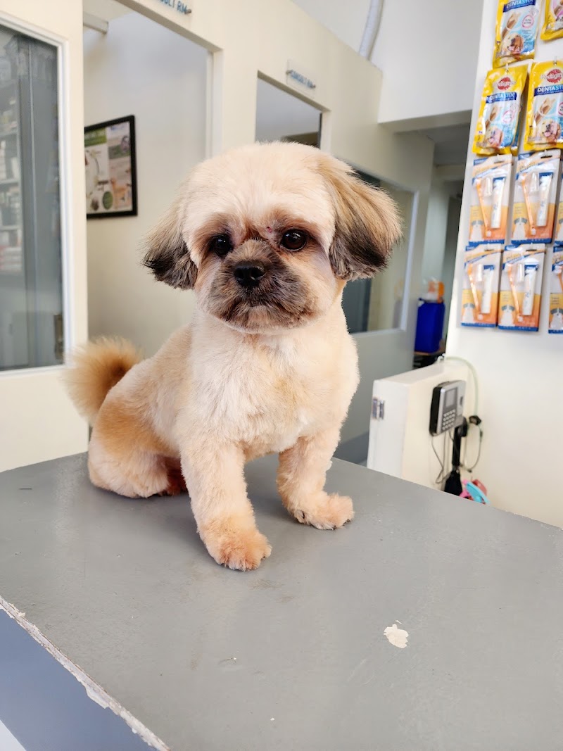 Healthy Tails Animal Clinic — photo