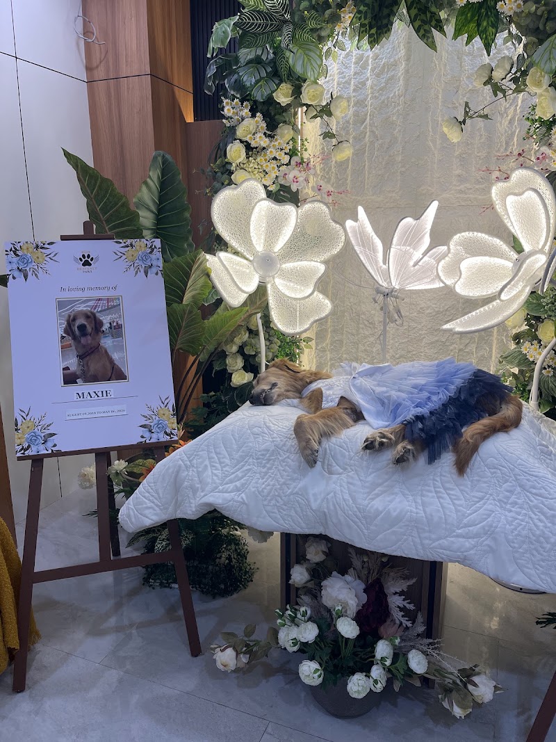 Heavenly Paws - Pet Cremation & Aftercare Services — photo