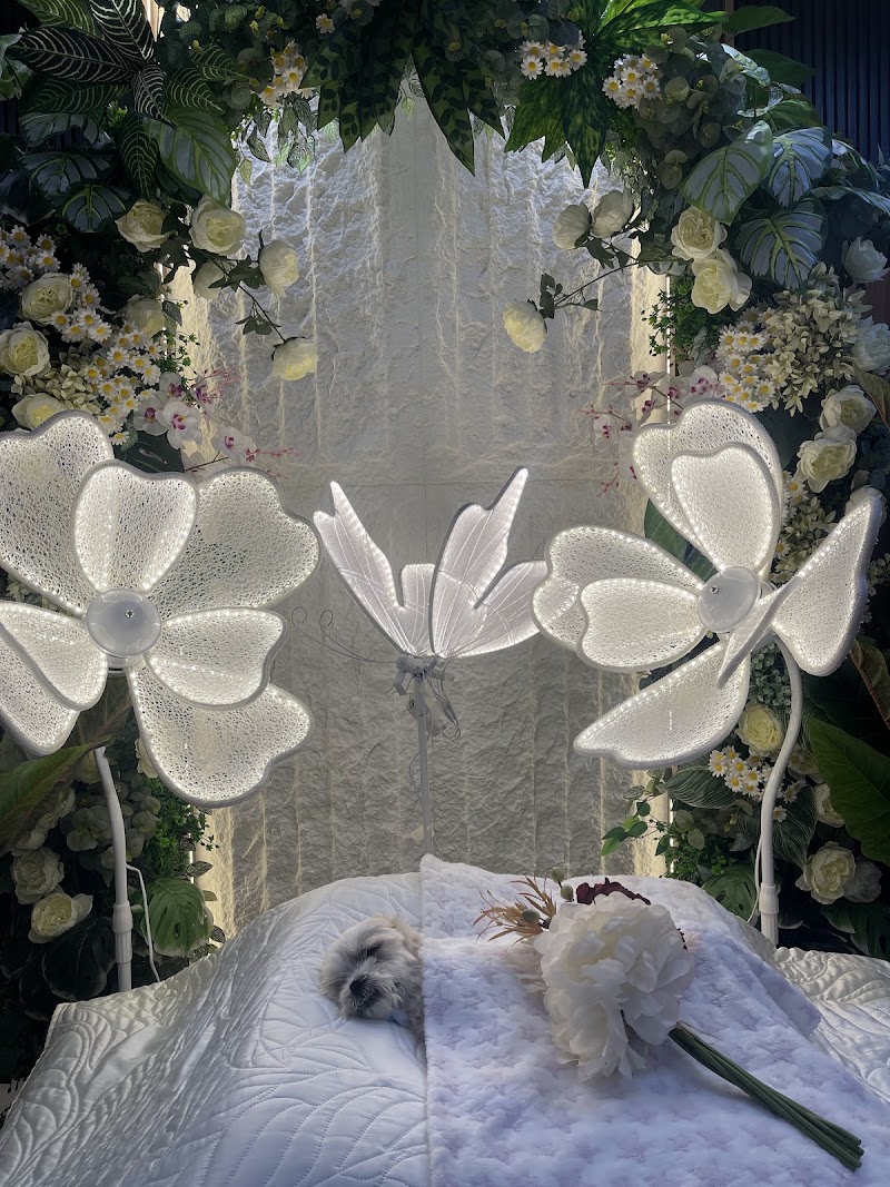 Heavenly Paws - Pet Cremation & Aftercare Services — photo