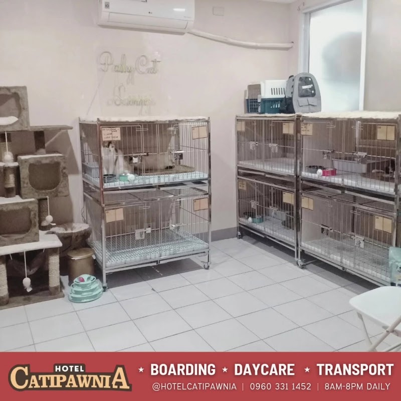 Hotel Catipawnia | Cat Hotel, Boarding, Day Care, and Transport — photo