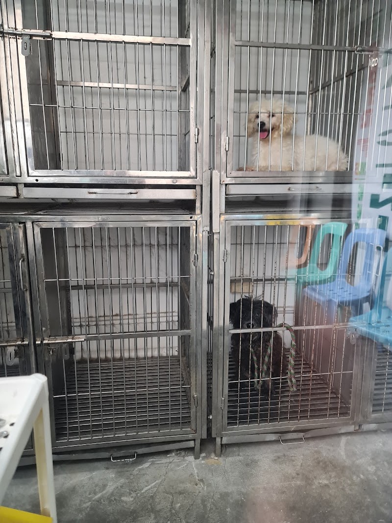 IMMANUEL ANIMAL CLINIC PET SUPPLIES & GROOMING CENTER — photo