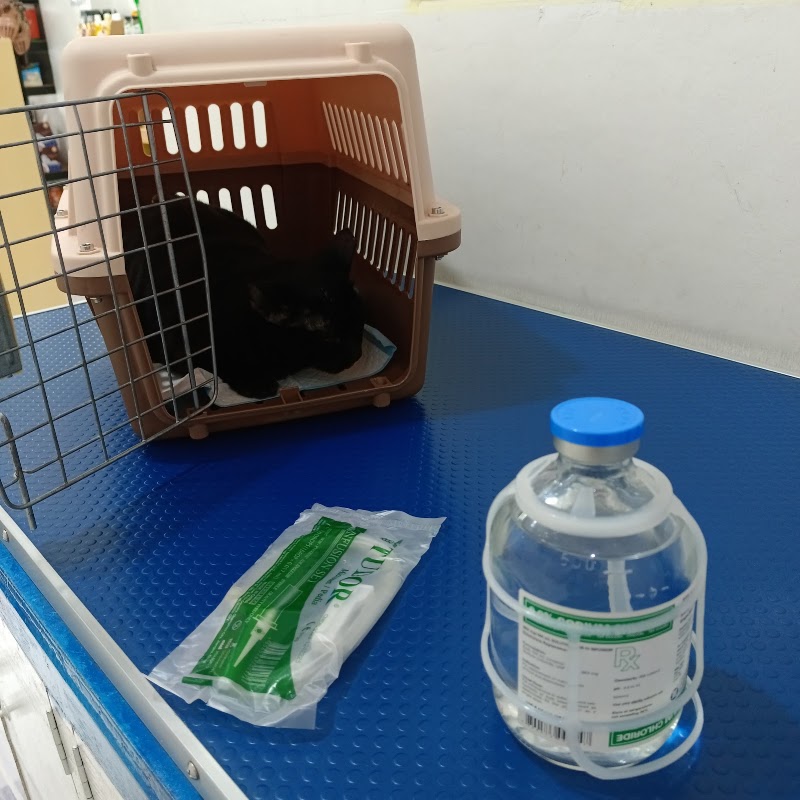 JMR Veterinary Clinic — photo