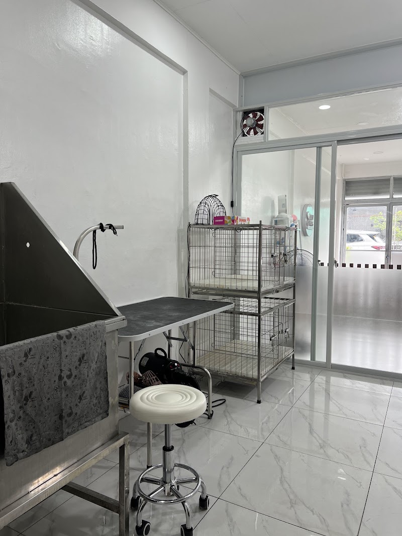 Jolly Paws Pet Grooming and Hotel — photo