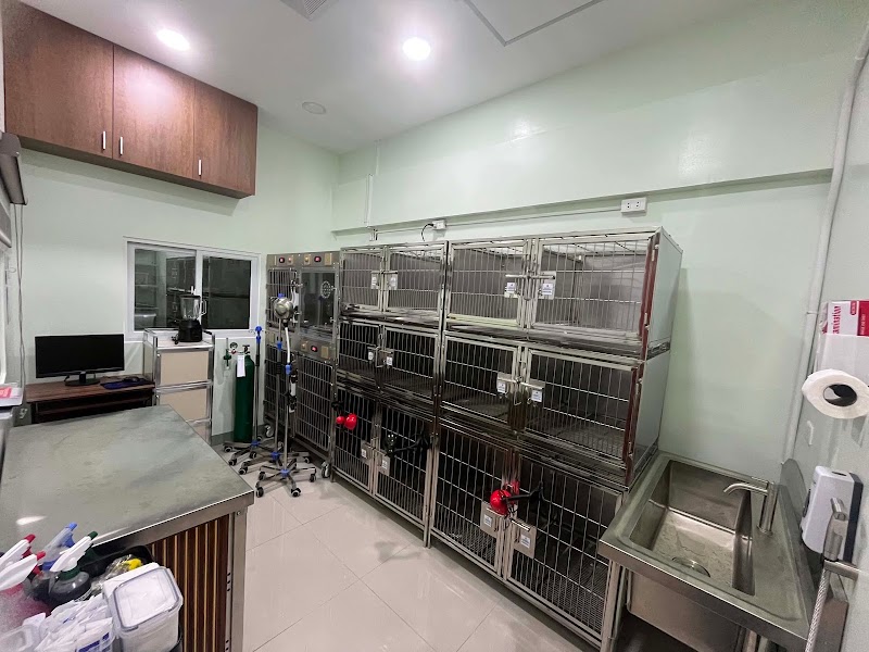 Jordan Veterinary Clinic-BF Parañaque — photo