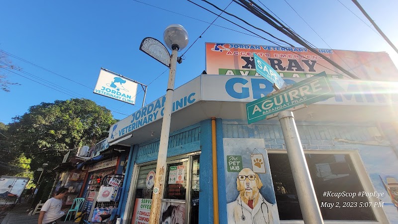 Jordan Veterinary Clinic-Pilar Branch — photo