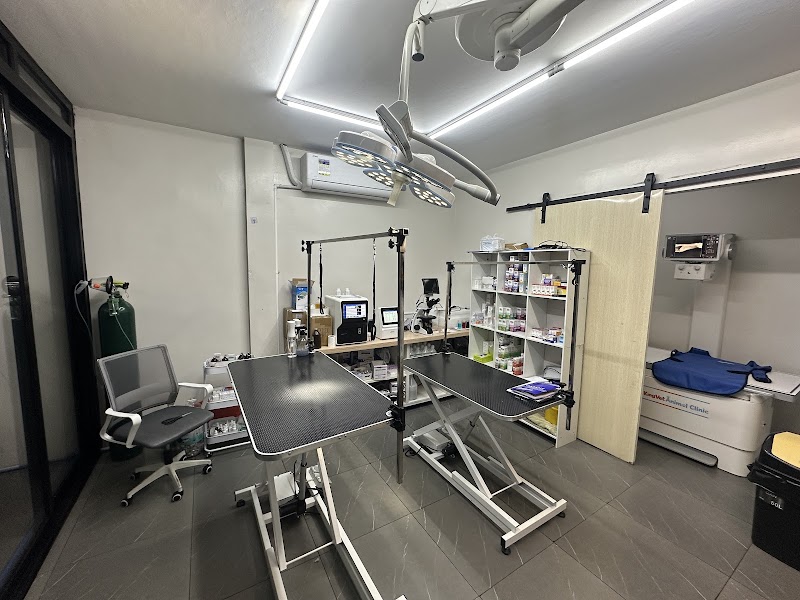 KINGVET ANIMAL CLINIC — photo