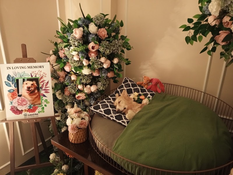 Loving Pets Cremation by Loyal Pet — photo