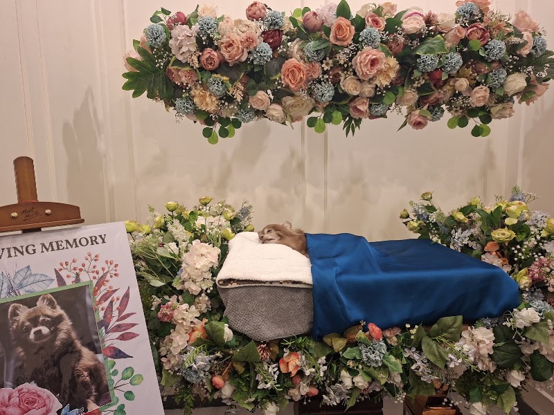 Loyal Pet Cremation QC Branch — photo