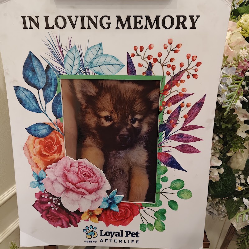 Loyal Pet Cremation QC Branch — photo