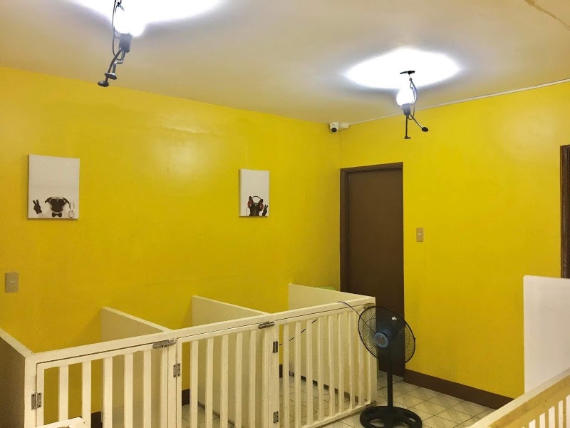 LucyBeFree Dog Boutique Hotel and Daycare — photo