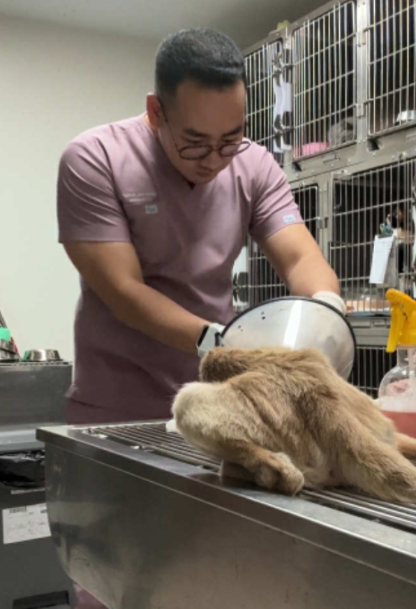 Makati Animal Medical Center Inc. — photo