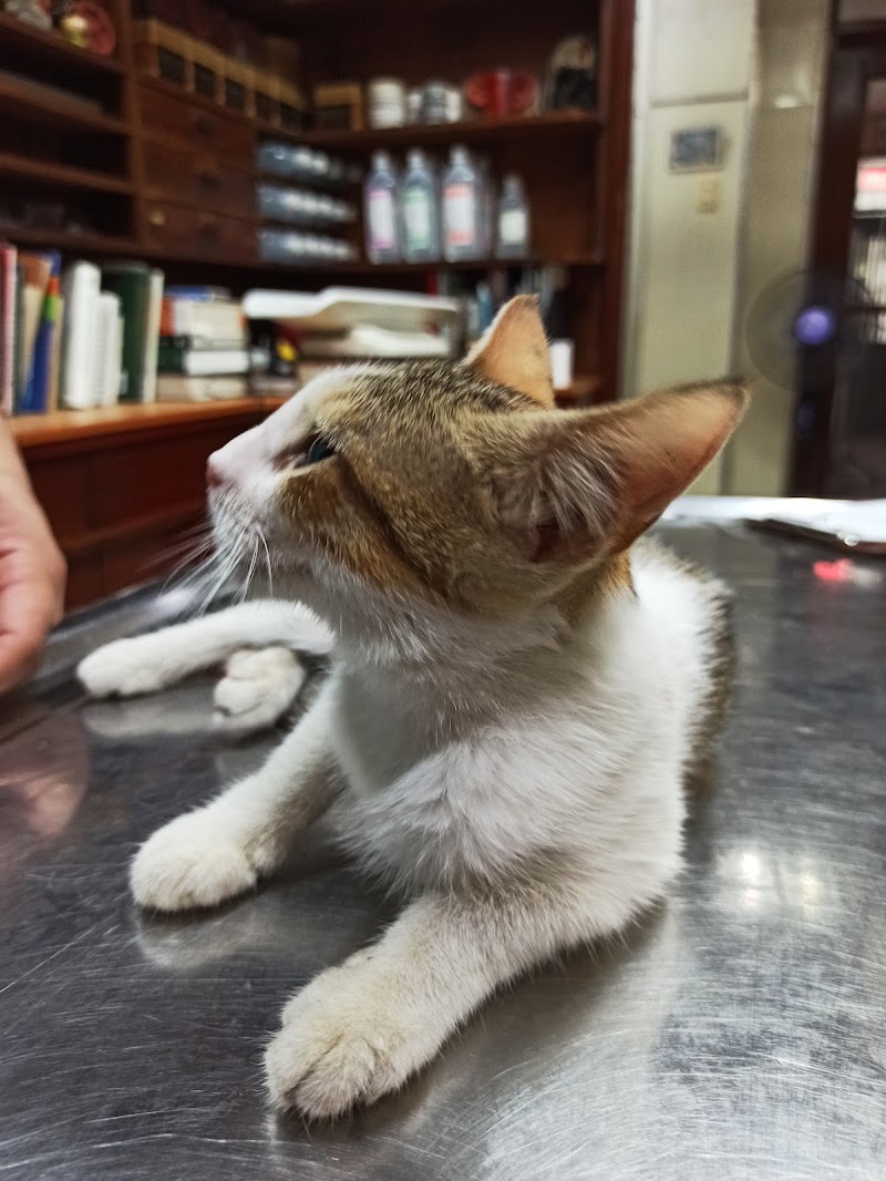 Makati Dog and Cat Hospital — photo