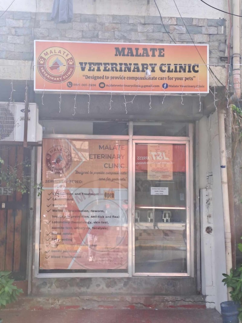 Malate Veterinary Clinic — photo