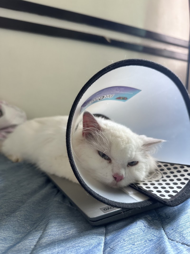 Malate Veterinary Clinic — photo