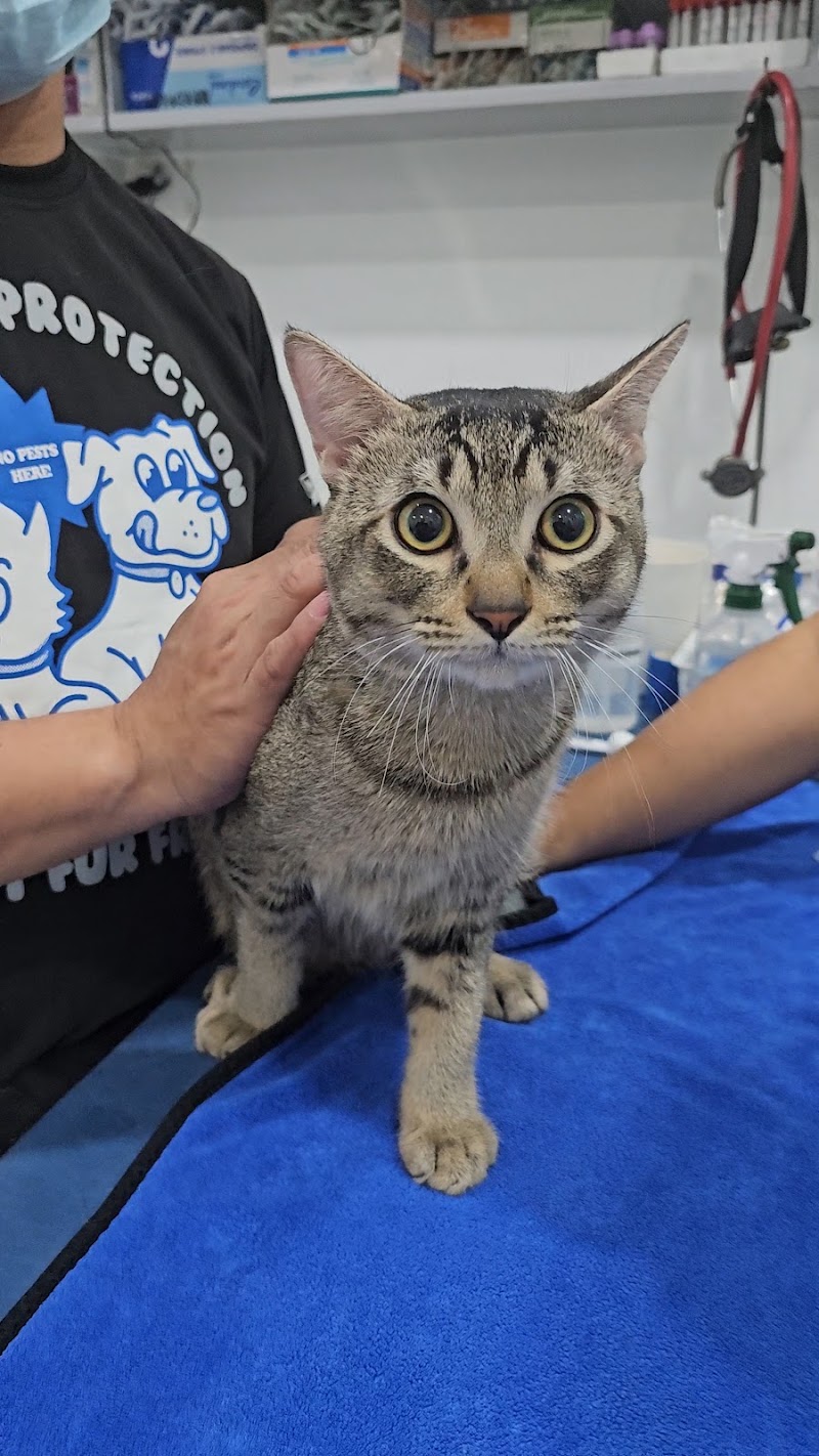 MandaVets Animal Clinic — photo