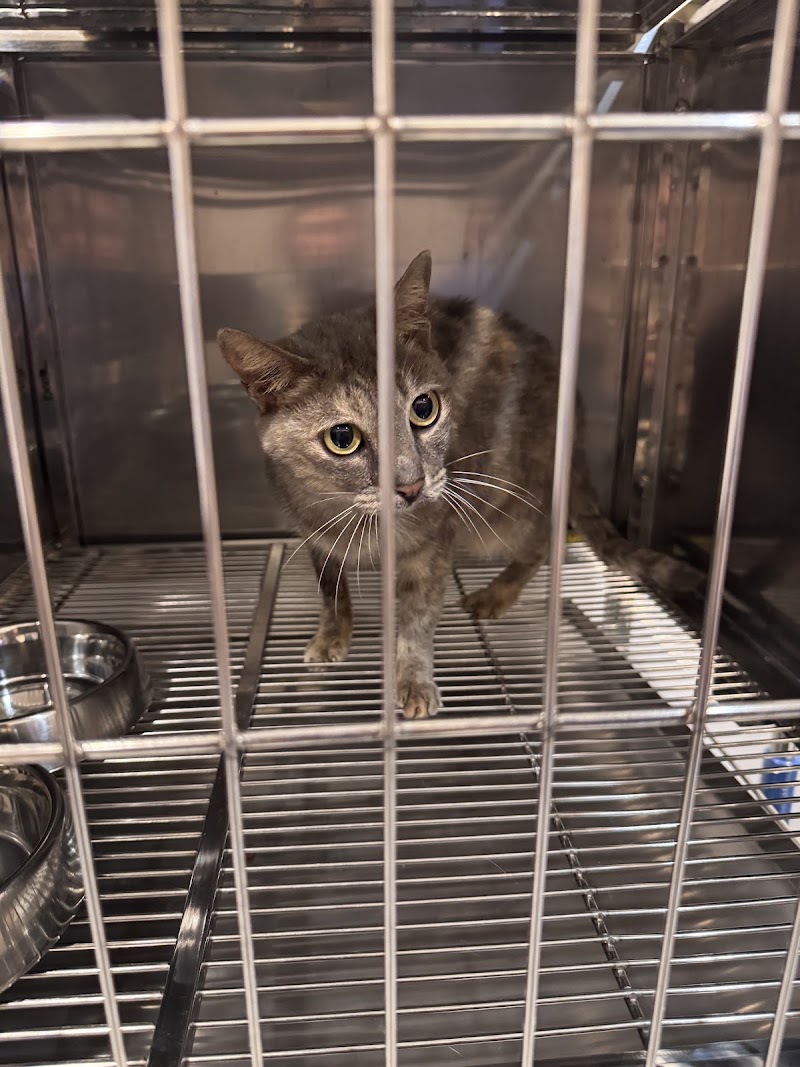 MARC Veterinary Clinic — photo