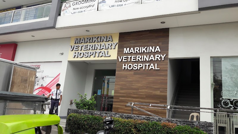 Marikina Veterinary Hospital — photo
