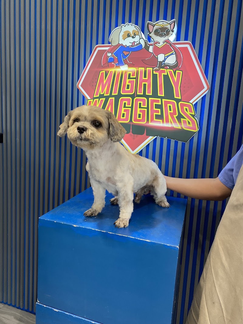 Mighty Waggers Pet Supplies & Grooming — photo