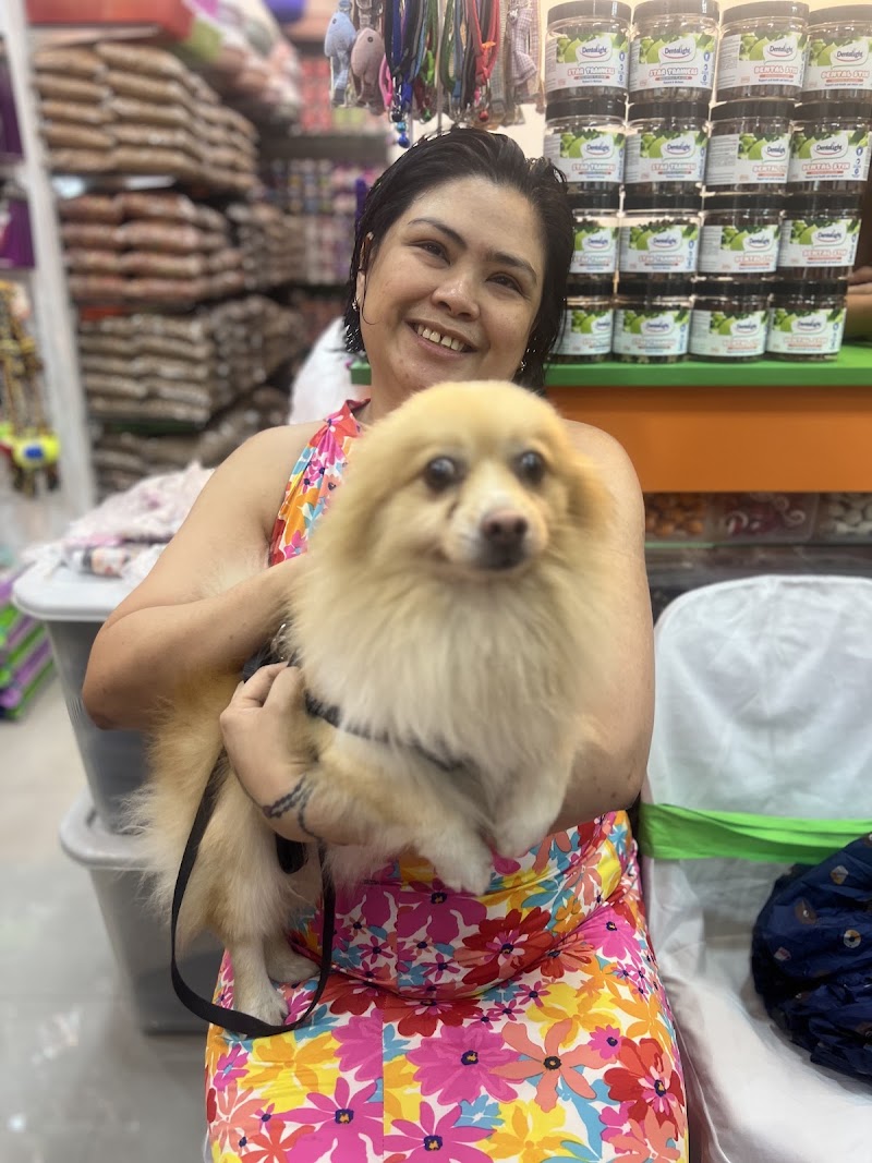 Mindz Pet Veterinary and Grooming Services Gagalangin, Tondo — photo