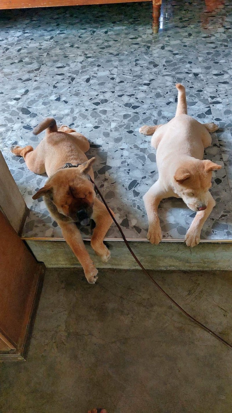 Mindz Pet Veterinary and Grooming Services Gagalangin, Tondo — photo