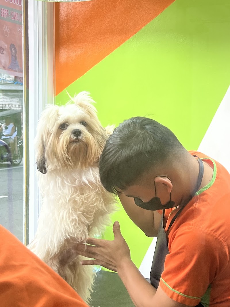 Mindz Pet Veterinary and Grooming Services Gagalangin, Tondo — photo