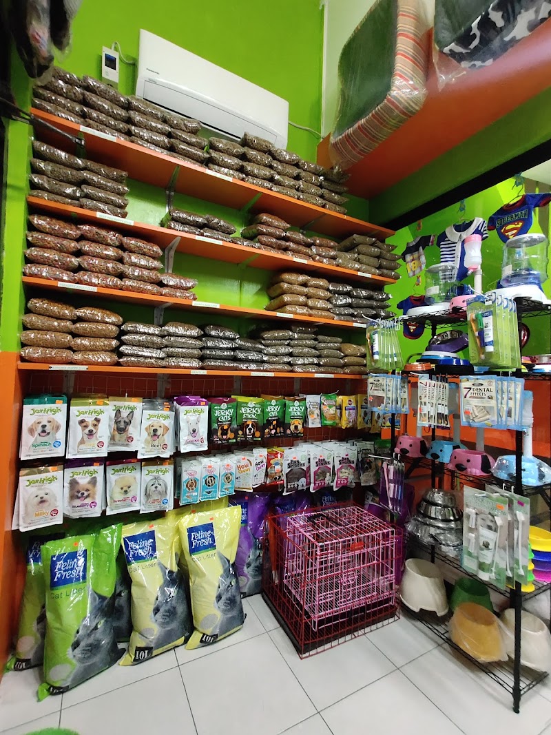 Mindz Pet Veterinary and Grooming Services Navotas Cuatro — photo