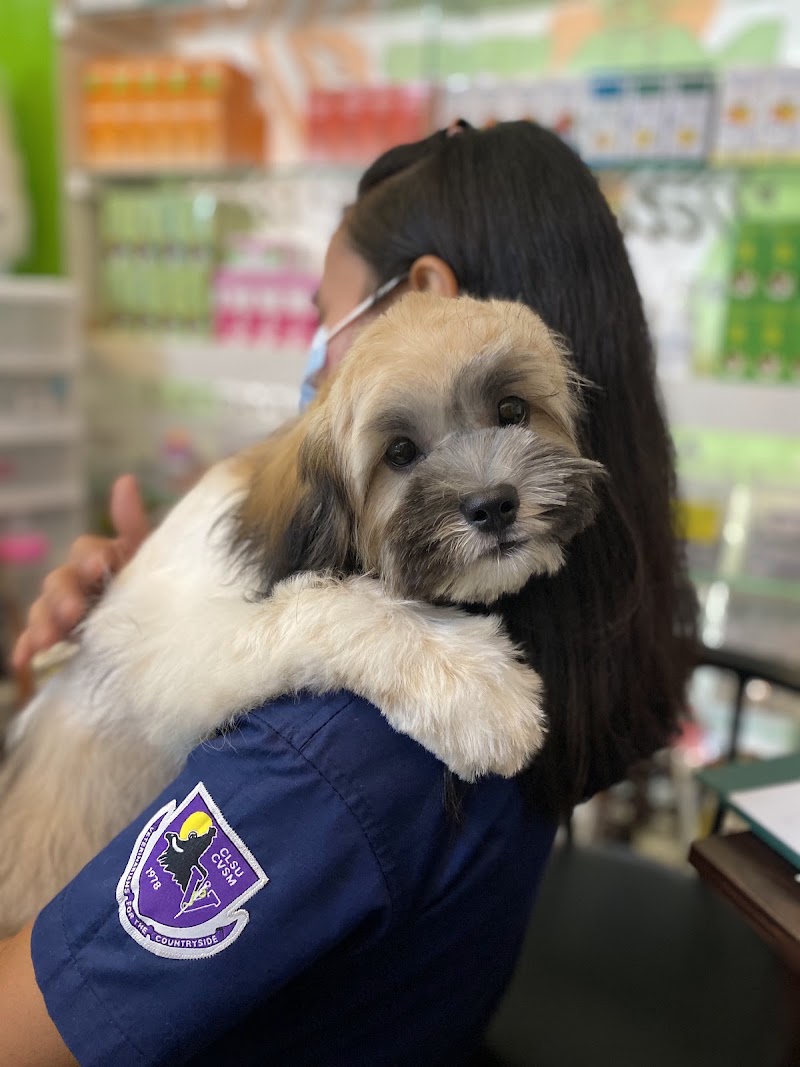 Mindz Pet Veterinary and Grooming Services Navotas Cuatro — photo