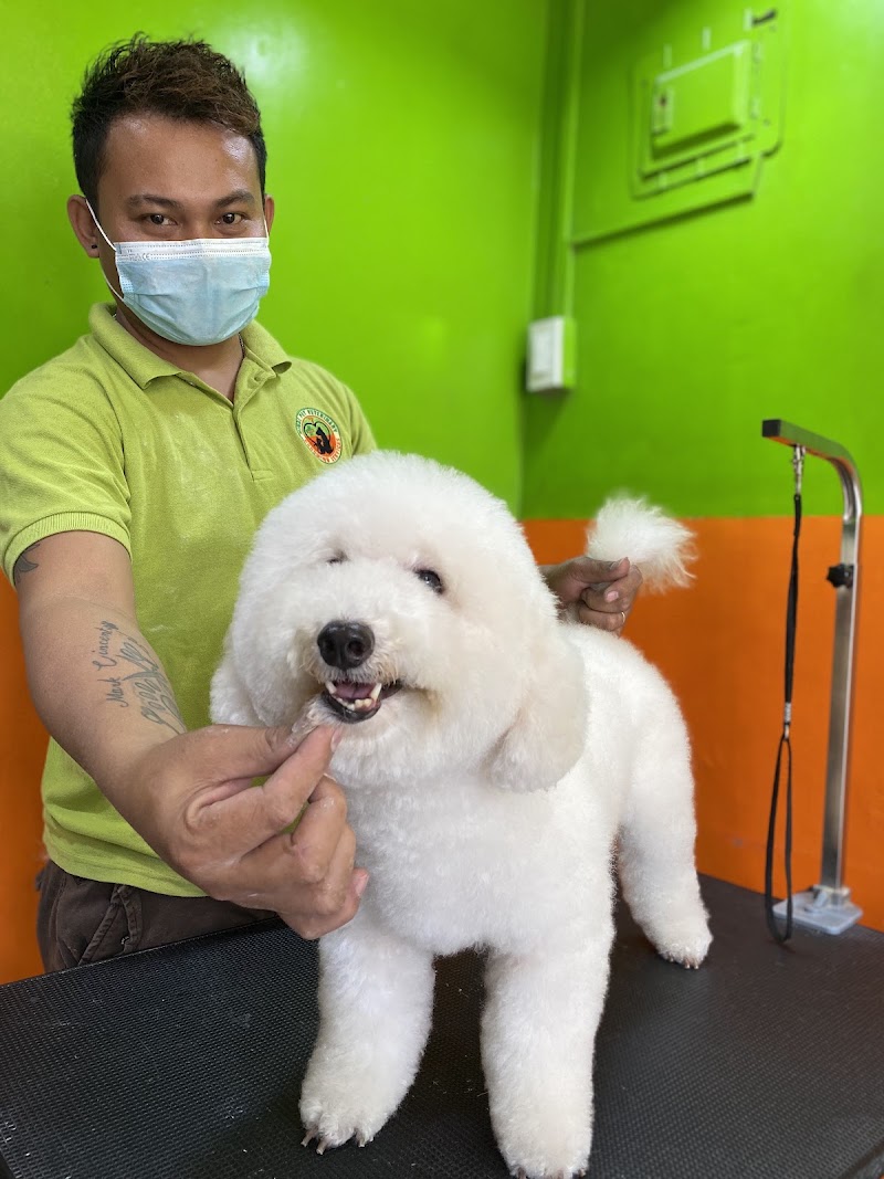 Mindz Pet Veterinary and Grooming Services Navotas Cuatro — photo