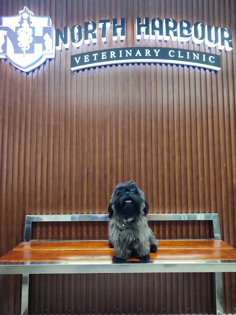 North Harbour Veterinary Clinic — photo