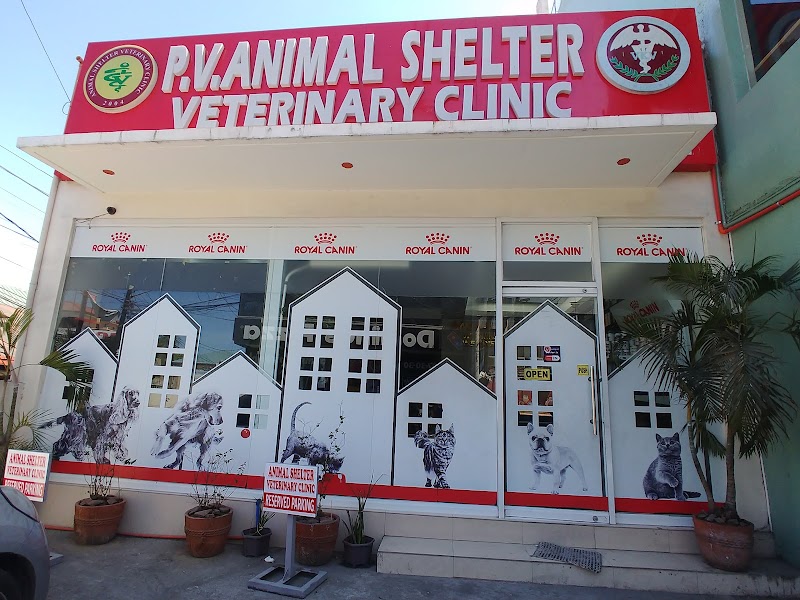 P.V. Animal Shelter Veterinary Clinic — photo