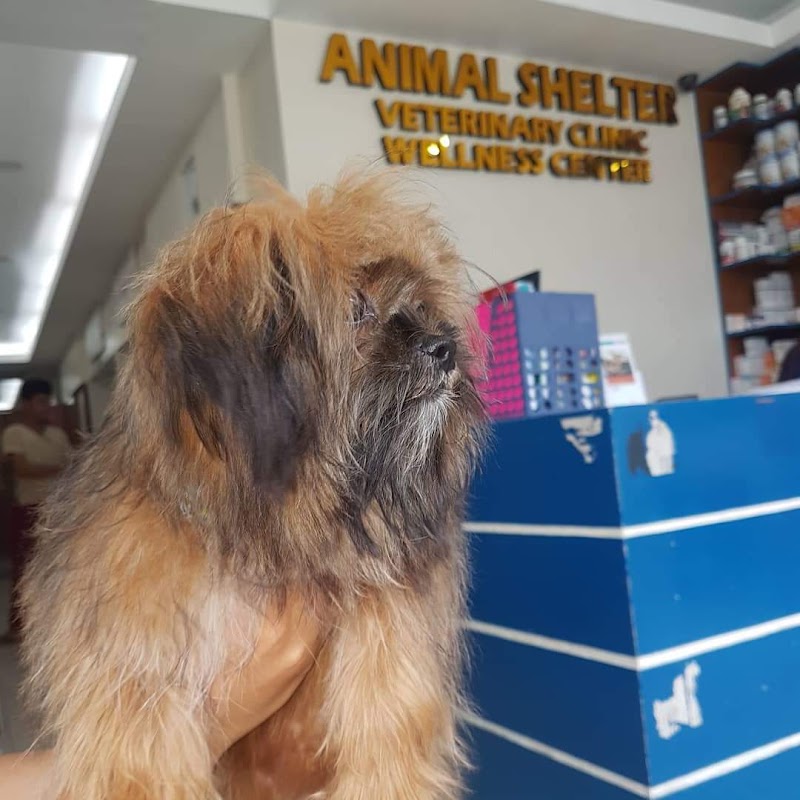 P.V. Animal Shelter Veterinary Clinic — photo