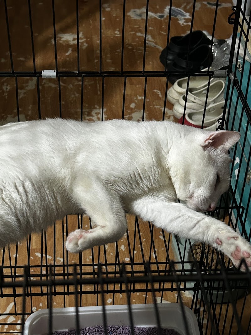 Pasig Line Animal Clinic — photo