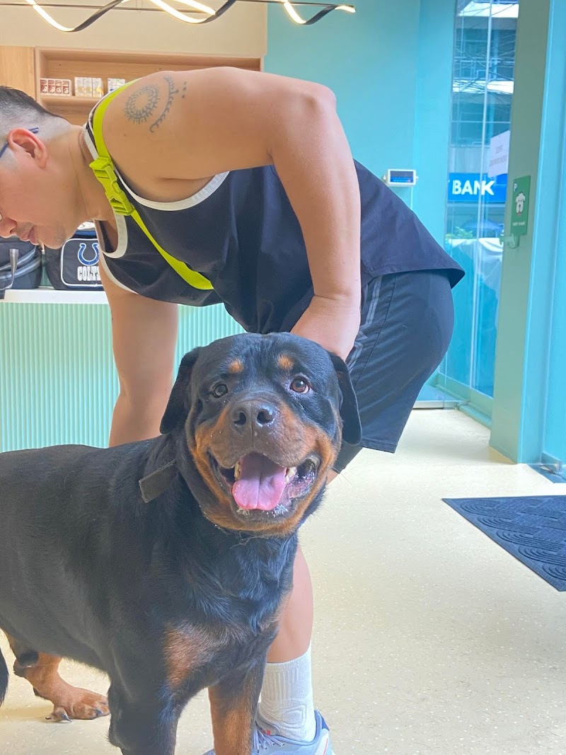 Paw Haus Vet Clinic Makati — photo