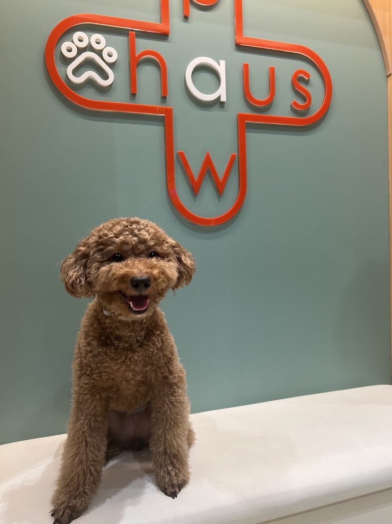 Paw Haus Vet Clinic Makati — photo