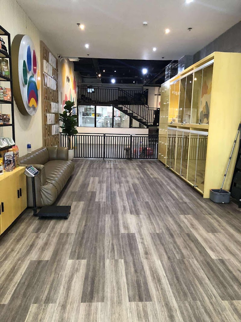 PAW PAW LAND- MAGINHAWA — photo