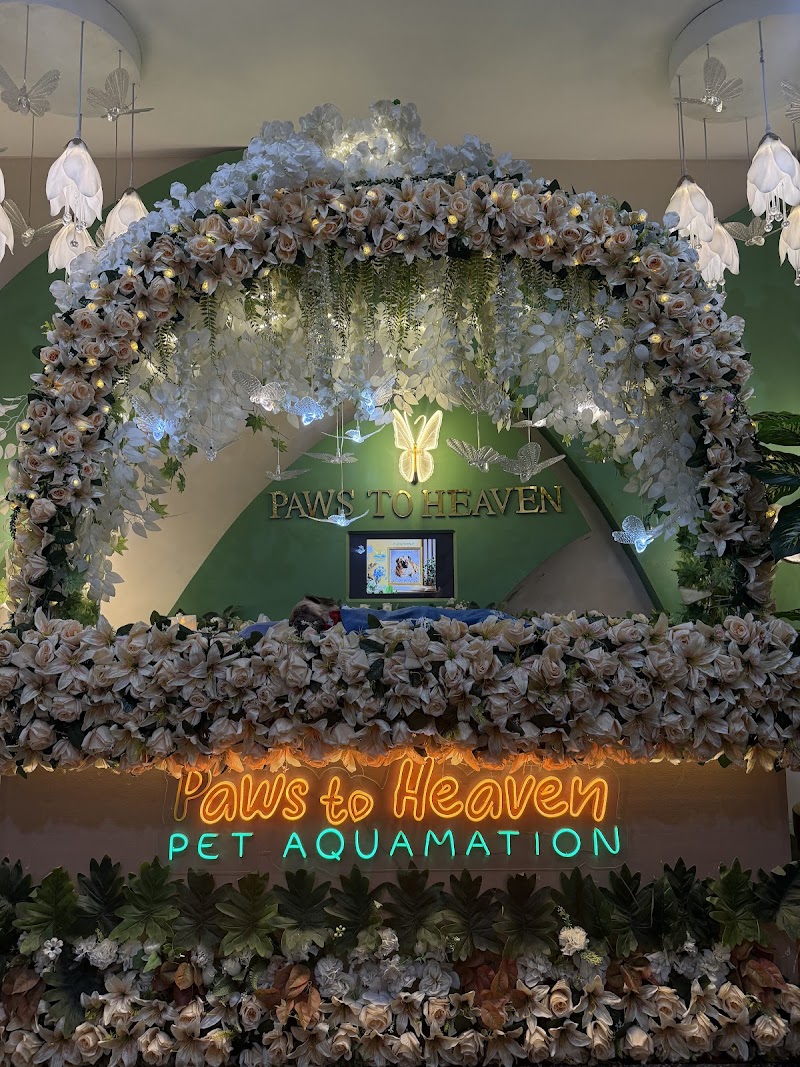 Paws to Heaven Pet Aquamation — photo