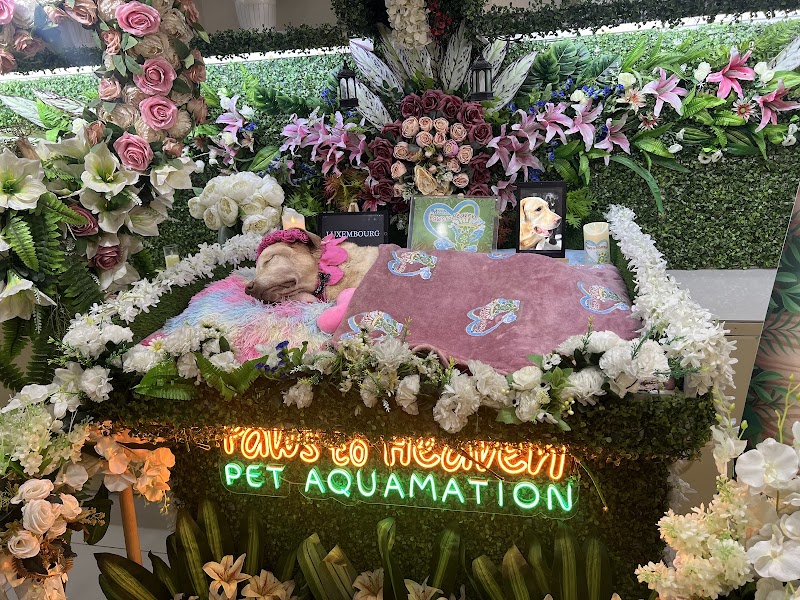 Paws to Heaven Pet Aquamation — photo