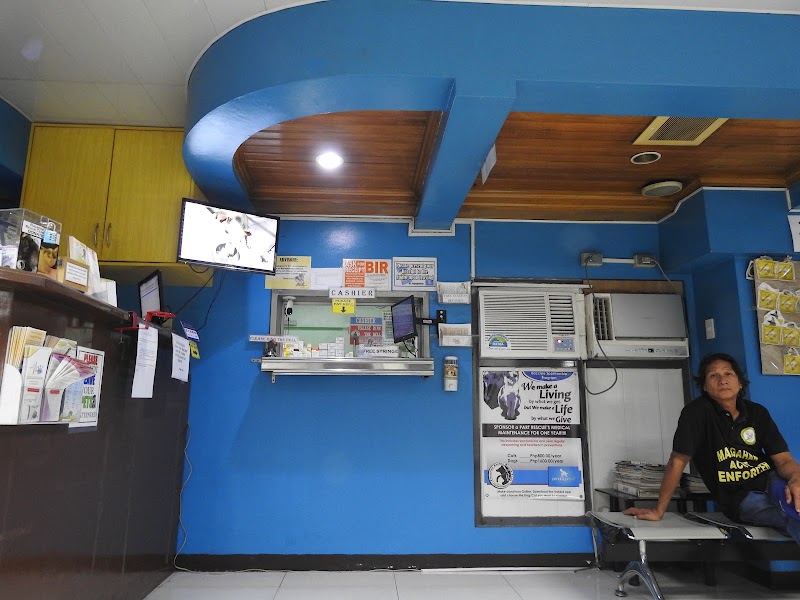 Pendragon Veterinary Clinic — photo