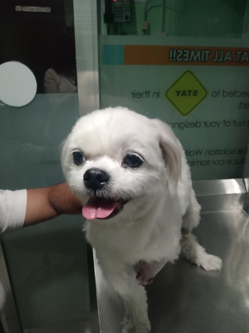 Pendragon Veterinary Clinic — photo