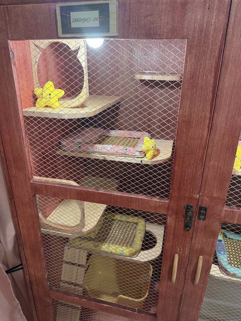Pet City Daycare & Hotel — photo