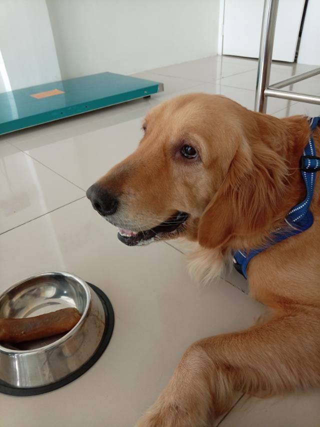 Pet Forum Veterinary Clinic — photo