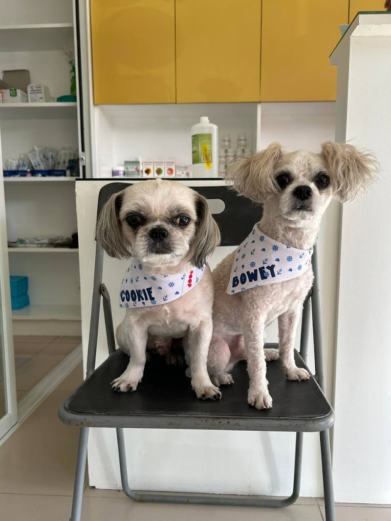 Pet Forum Veterinary Clinic — photo