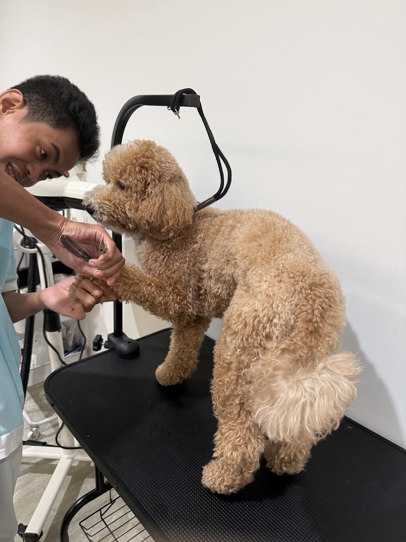 Pet Hotel & Grooming Salon One Luke Makati — photo
